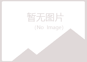 安图县海莲木材有限公司